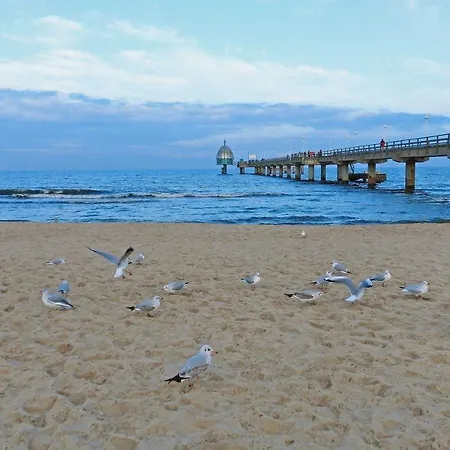 公寓 2-5 Sonnenschein 奥斯特西巴德钦诺维茨